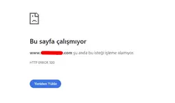1741954136769.webp